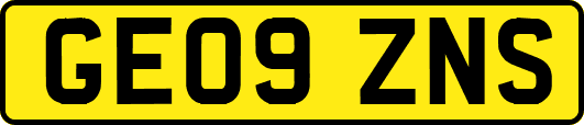 GE09ZNS