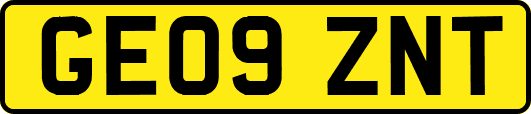GE09ZNT