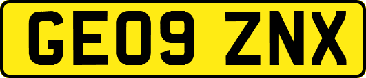 GE09ZNX
