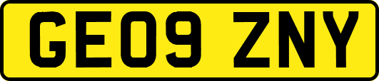 GE09ZNY