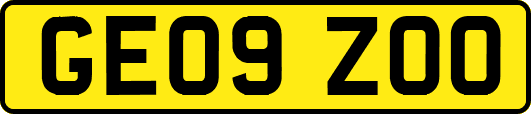 GE09ZOO