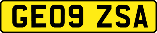 GE09ZSA
