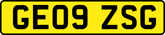 GE09ZSG