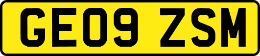 GE09ZSM