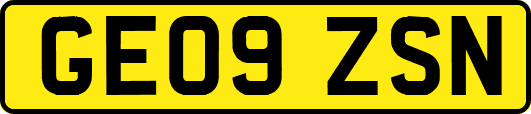 GE09ZSN