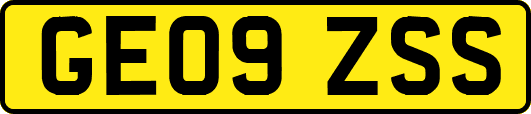 GE09ZSS