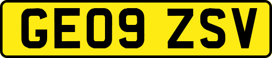 GE09ZSV