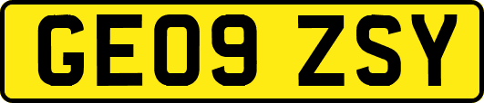 GE09ZSY