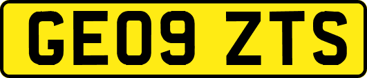 GE09ZTS