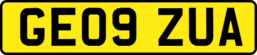 GE09ZUA