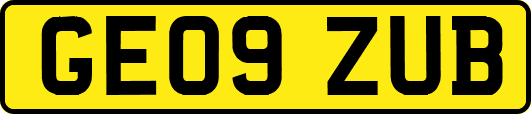 GE09ZUB