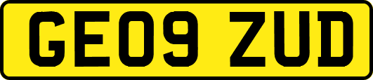 GE09ZUD