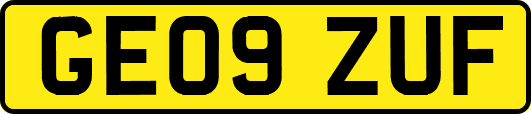 GE09ZUF
