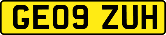 GE09ZUH