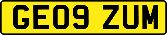 GE09ZUM