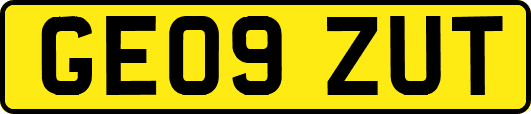 GE09ZUT
