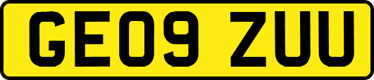 GE09ZUU