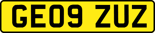 GE09ZUZ
