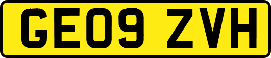 GE09ZVH
