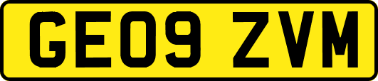GE09ZVM