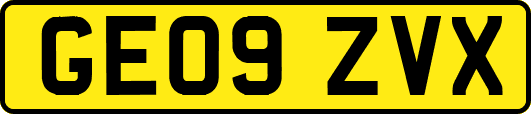 GE09ZVX