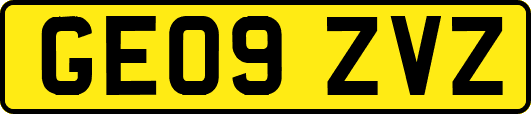 GE09ZVZ