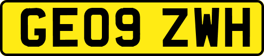 GE09ZWH