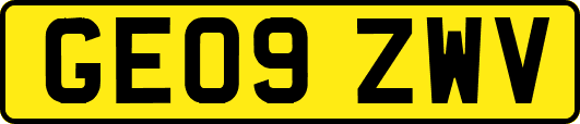 GE09ZWV