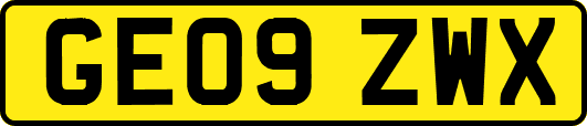 GE09ZWX