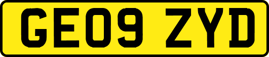 GE09ZYD