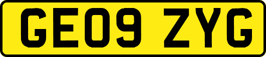 GE09ZYG