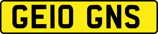 GE10GNS