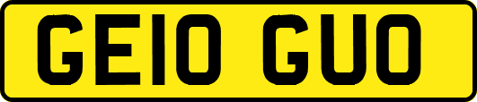 GE10GUO