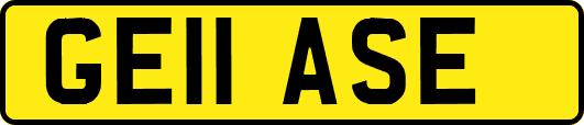 GE11ASE