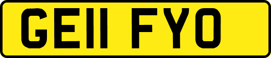 GE11FYO
