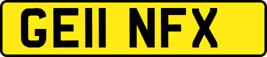 GE11NFX