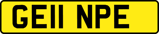 GE11NPE