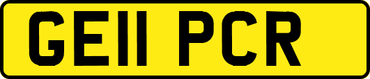 GE11PCR