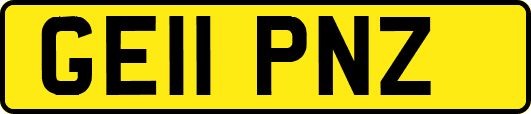 GE11PNZ