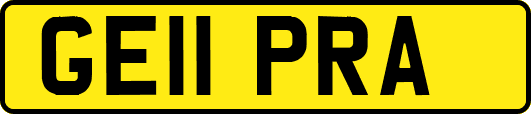 GE11PRA