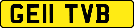 GE11TVB