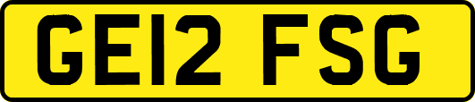 GE12FSG