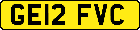 GE12FVC