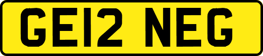 GE12NEG