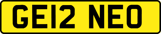 GE12NEO