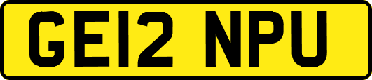 GE12NPU