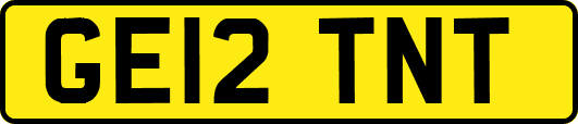 GE12TNT