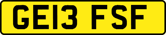 GE13FSF