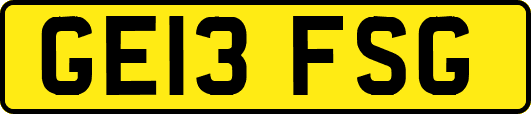 GE13FSG
