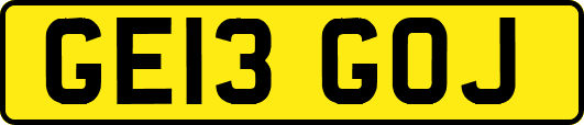 GE13GOJ